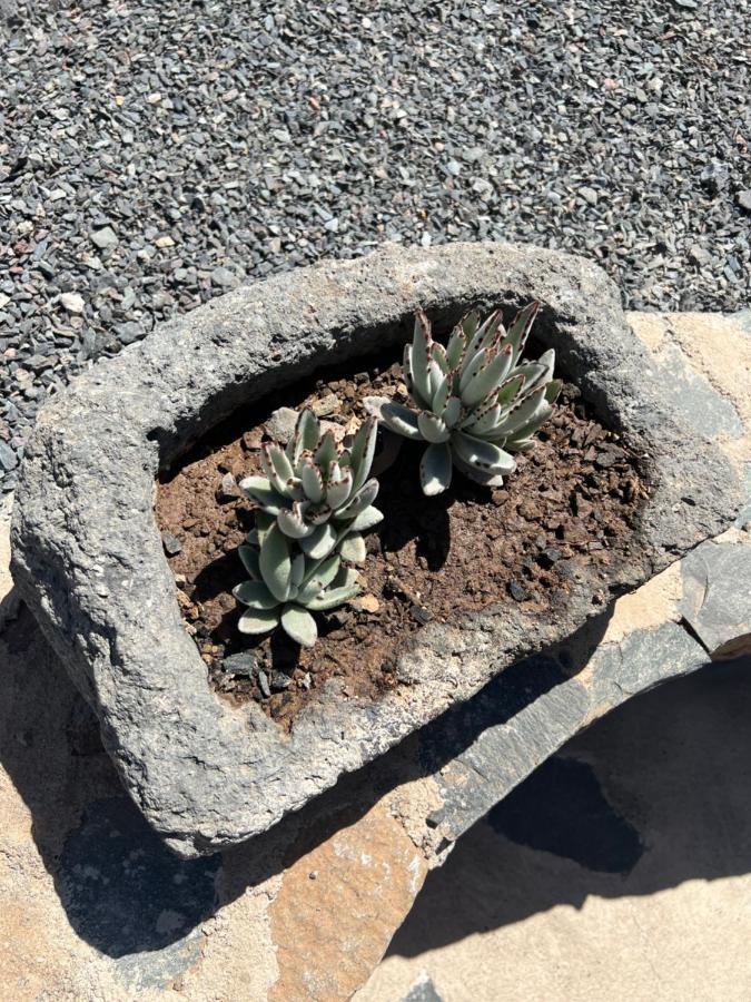 Casa Rural Con Bano Adaptado Y Piscina En Mogán Kültér fotó