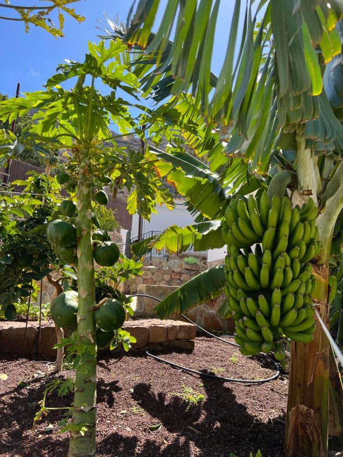 Casa Rural Con Bano Adaptado Y Piscina En Mogán Kültér fotó