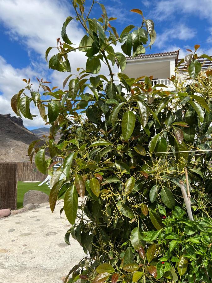 Casa Rural Con Bano Adaptado Y Piscina En Mogán Kültér fotó
